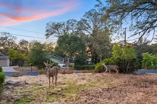 11585 Linnet Ct, Penn Valley, CA 95946 - Photo 38