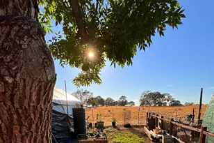 10471 Mariposa Ave, Jackson, CA 95642 - Photo 48