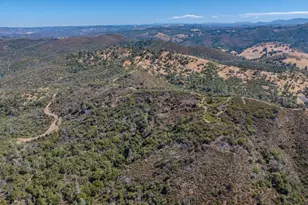 3155 Hawver, San Andreas, CA 95249 - Photo 52