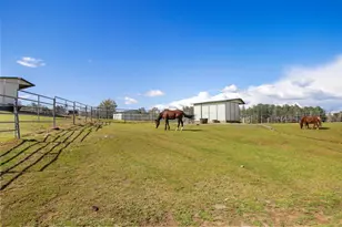 1276 Coon Ct, Cool, CA 95614 - Photo 58