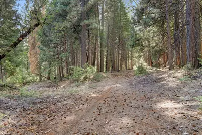 12683 Spider Hill Road, Nevada City, CA 95959 - Photo 10
