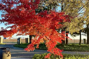 5880 Sunset Blvd W, Roseville, CA 95747 - Photo 2