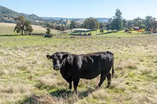 5700 Semor Dr, Shingle Springs, CA 95682 - Photo 64