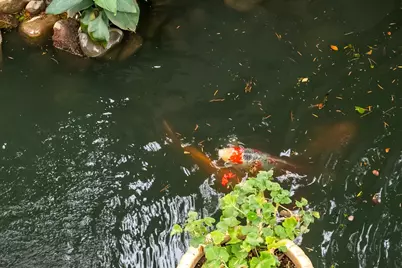 2424 Larkspur Lane #216, Sacramento, CA 95825 - Photo 40