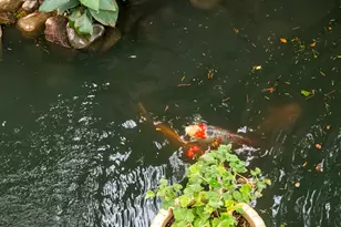 2424 Larkspur Ln, Sacramento, CA 95825 - Photo 40