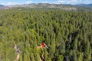 3553 Lupine Ln, Placerville, CA 95667 - Photo 38