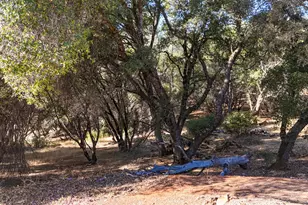 12726 Ranchero Way, Grass Valley, CA 95949 - Photo 46