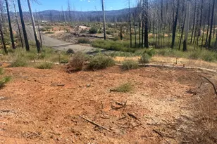 5241 Golden Aspen Dr, Grizzly Flats, CA 95636 - Photo 1