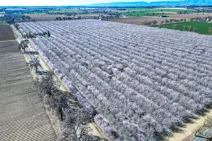 16750 Co Rd 96B, Woodland, CA 95695 - Photo 68