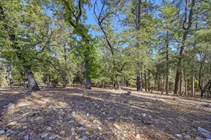 2143 Angel Camp Ct, Cool, CA 95614 - Photo 56