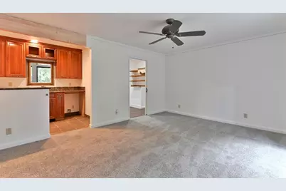 16910 McKenzie Drive, Pioneer, CA 95666 - Photo 46