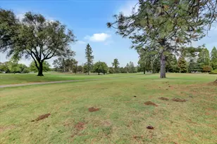 18098 Lake Forest Dr, Penn Valley, CA 95946 - Photo 54