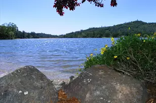 18098 Lake Forest Dr, Penn Valley, CA 95946 - Photo 82