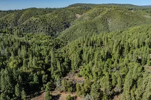 4581 Hwy 4, Murphys, CA 95247 - Photo 56