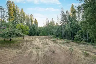 12401 Old Mine Rd, Grass Valley, CA 95945 - Photo 14