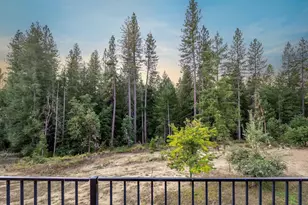 12401 Old Mine Rd, Grass Valley, CA 95945 - Photo 10