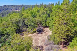 2220 Lookout Mountain Dr, Camino, CA 95709 - Photo 1