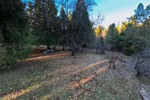 202 Gold Flat Rd, Nevada City, CA 95959 - Photo 1