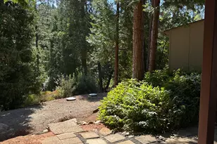 24701 Sunrise Pl, Pioneer, CA 95666 - Photo 28