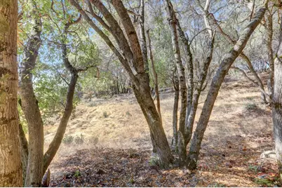 12920 Woodlake Road, Grass Valley, CA 95949 - Photo 74