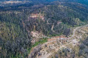 17450 Jesus Maria, Mokelumne Hill, CA 95245 - Photo 1