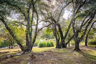 2540 Muir Ct, Cool, CA 95614 - Photo 68