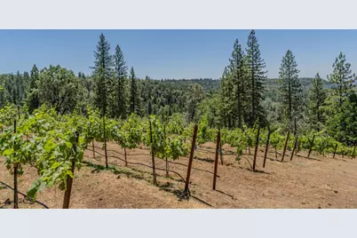 18591 Ponderosa Hills Road, Volcano, CA 95689 - Photo 26