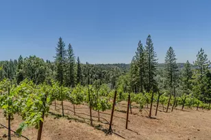 18591 Ponderosa Hills Rd, Volcano, CA 95689 - Photo 26