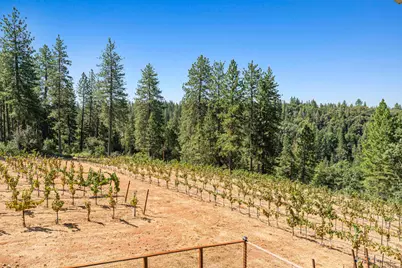18591 Ponderosa Hills Road, Volcano, CA 95689 - Photo 48