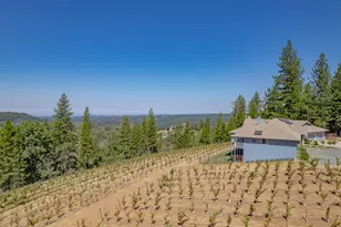 18591 Ponderosa Hills Rd, Volcano, CA 95689 - Photo 8