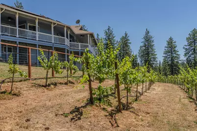 18591 Ponderosa Hills Road, Volcano, CA 95689 - Photo 24