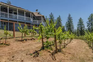 18591 Ponderosa Hills Rd, Volcano, CA 95689 - Photo 24