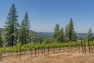 18591 Ponderosa Hills Rd, Volcano, CA 95689 - Photo 58