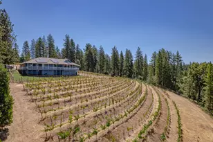 18591 Ponderosa Hills Rd, Volcano, CA 95689 - Photo 6