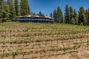 18591 Ponderosa Hills Rd, Volcano, CA 95689 - Photo 32