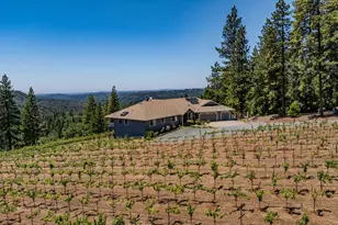 18591 Ponderosa Hills Rd, Volcano, CA 95689 - Photo 40
