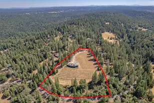 18591 Ponderosa Hills Rd, Volcano, CA 95689 - Photo 90
