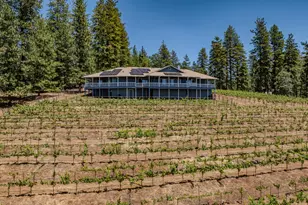 18591 Ponderosa Hills Rd, Volcano, CA 95689 - Photo 76