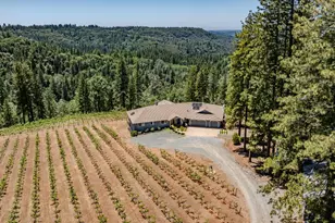 18591 Ponderosa Hills Rd, Volcano, CA 95689 - Photo 38