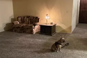 18288 Mountaintop Ln, Grass Valley, CA 95949 - Photo 6