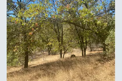 0 Nature's Way, Colfax, CA 95736 - Photo 10