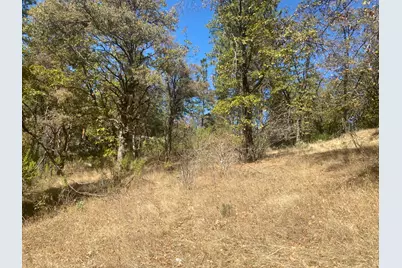 0 Nature's Way, Colfax, CA 95736 - Photo 8