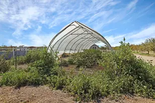 580 W Bowman Rd, French Camp, CA 95231 - Photo 30