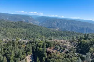 5350 Wylderidge Dr, Murphys, CA 95247 - Photo 60