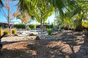 151 W Delano St, Elverta, CA 95626 - Photo 34