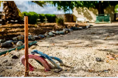 151 W Delano Street, Elverta, CA 95626 - Photo 18