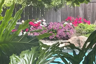 8057 Poulson St, Citrus Heights, CA 95610 - Photo 42