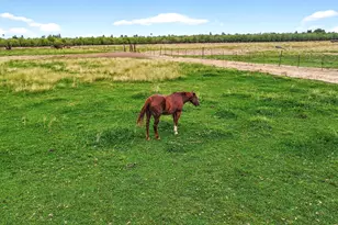 770 Merriam Rd, Hickman, CA 95323 - Photo 90