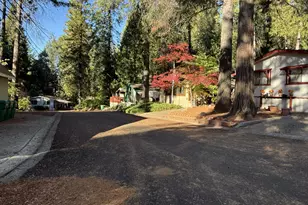 Pony Express Trail, Pollock Pines, CA 95726 - Photo 6