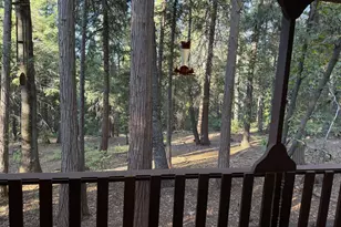 Pony Express Trail, Pollock Pines, CA 95726 - Photo 4